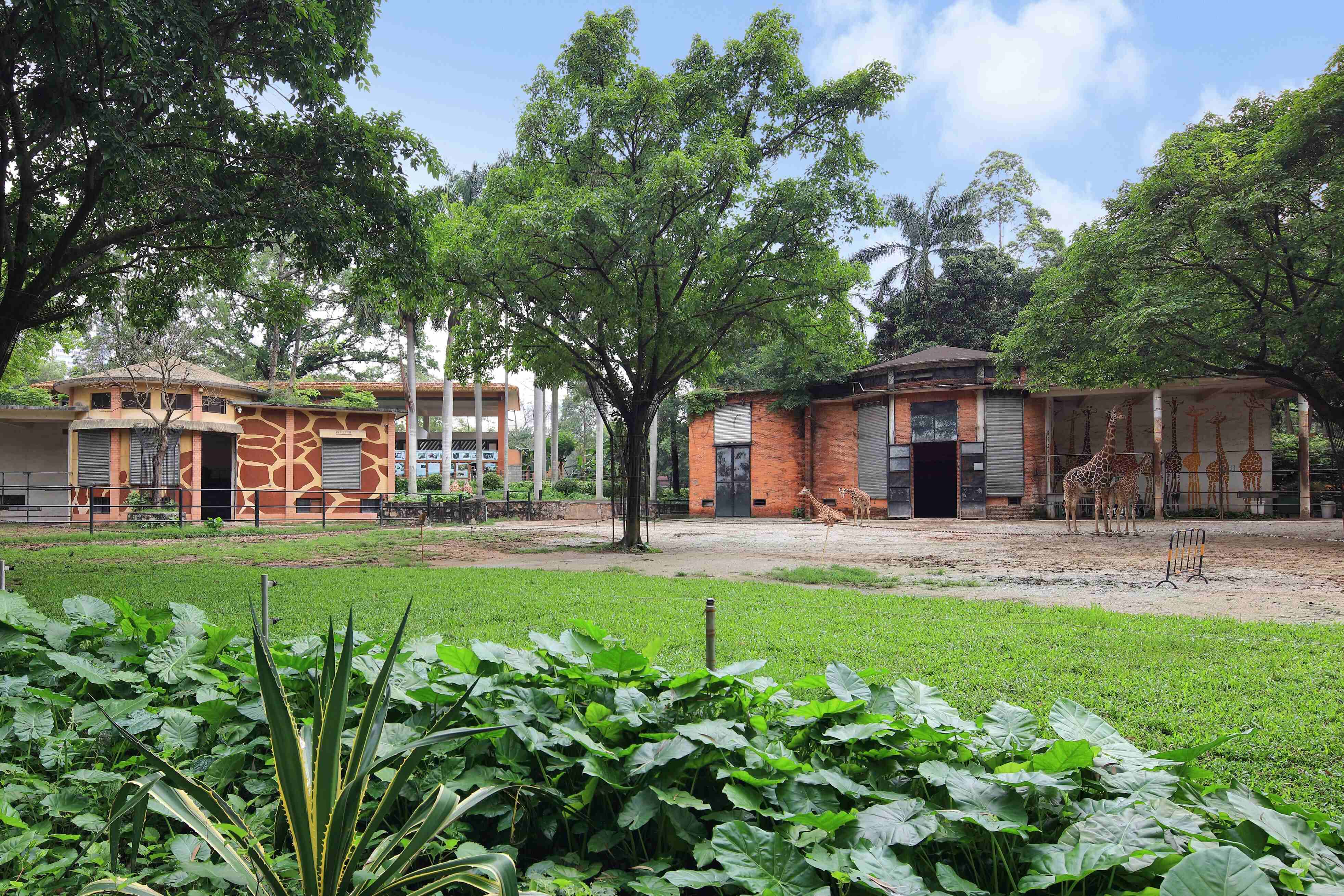 廣州動(dòng)物園升級改造工程